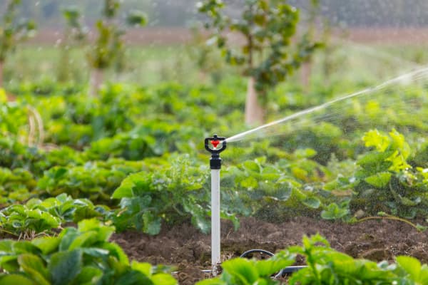 Land & Turf Irrigation
