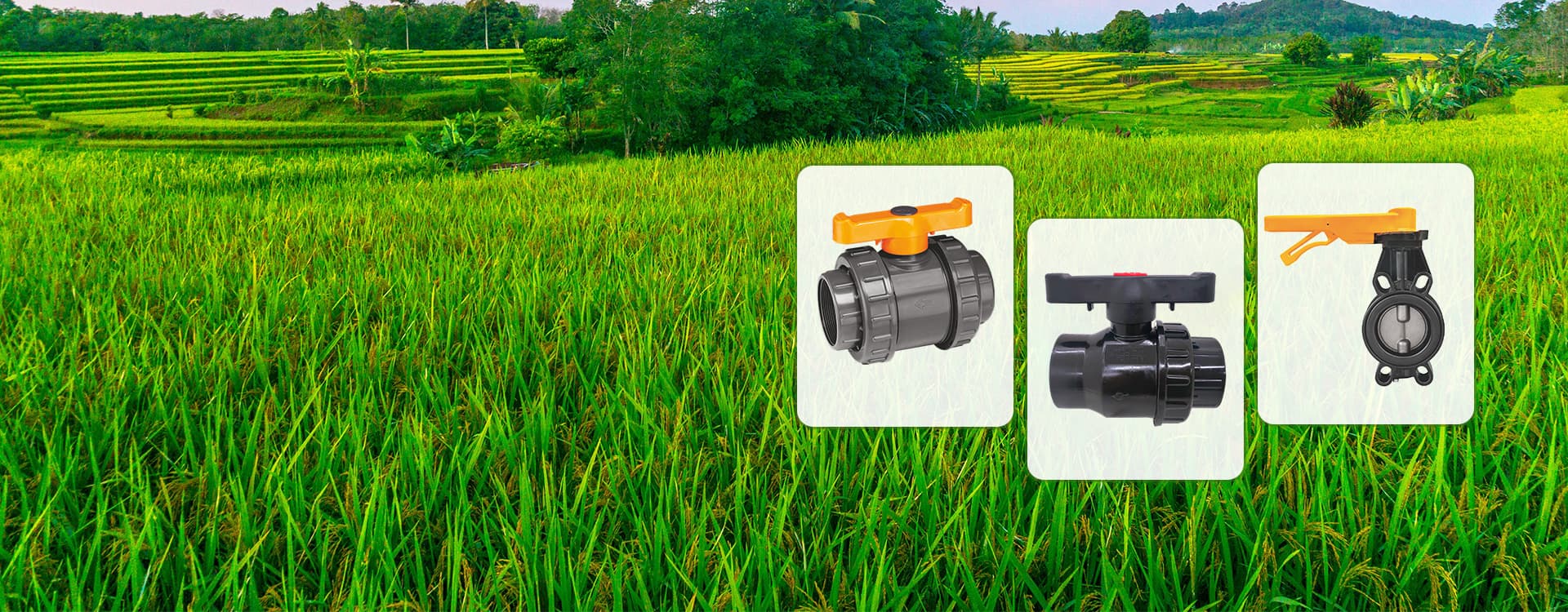 Reliable Regular Valves