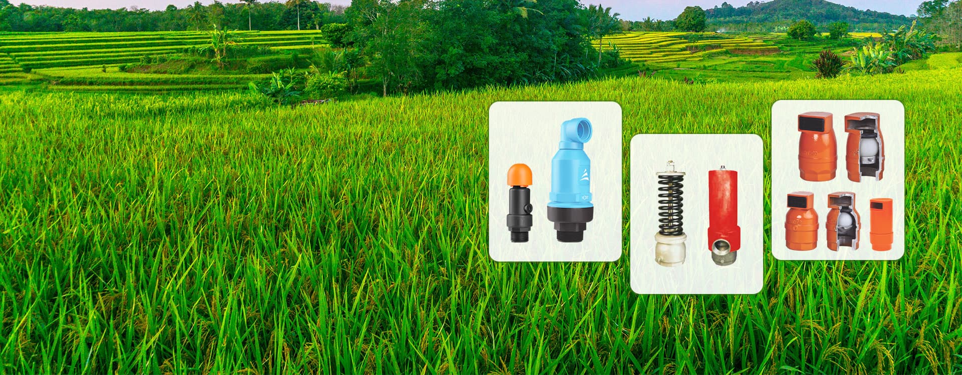 Essential Safety Valves